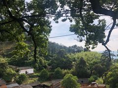 -杨家堂村
