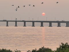 -宝安西湾红树林湿地公园