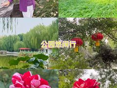-丰台花园
