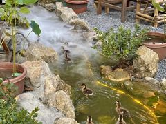 -伴山茶苑·围炉煮茶