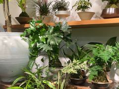 -自由生长植物工作室(深港花卉中心店)