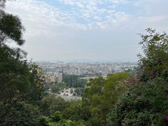 -仙岳公园