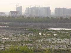 -新江湾城公园
