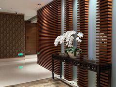 -丽思卡尔顿酒店泳池(金融街店)