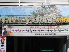 -西归浦每天偶来市场