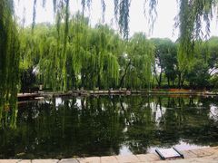 -玲珑塔公园