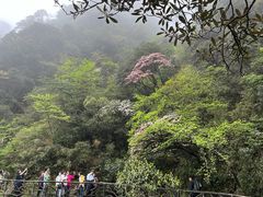 -三清山风景名胜区