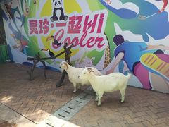 -灵玲国际马戏城