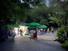 -紫金山山顶公园