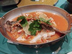 -佬肥猫(七宝宝龙店)