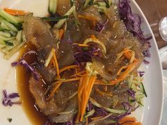 -邵年鸽(杨庄店)