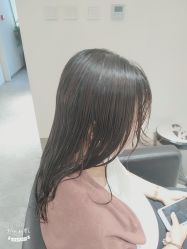 -爱维丽