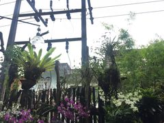 -自然餐厅(Phuket)