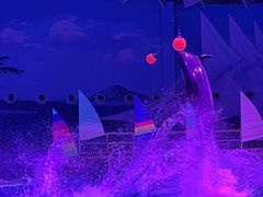 -海合安武汉极地海洋公园