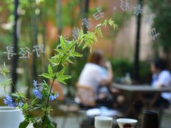 -扫雪煮茶(西村店)