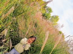 -羊亭河湿地公园