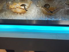 -星海汇海鲜烤肉火锅自助(二七广场百年德化店)