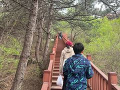 -燕塞湖鸟语林景区