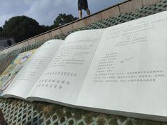 -观潮胜地公园