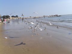 -老虎石海上公园