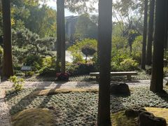 -上海醉白池公园