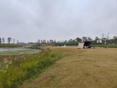 -春花秋色城市公园