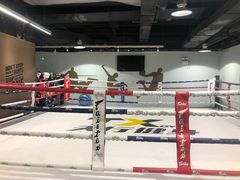 -天行健身＆天行拳馆跆拳道·格斗TXGYM