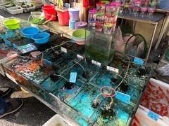 -清平路水族市场