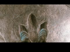 -湖南省地质博物馆