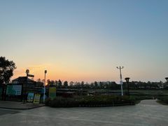 -花博汇(知音花月夜)