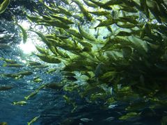 -福州罗源湾海洋世界旅游区