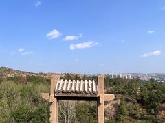 -红山国家森林公园