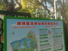 -晓港公园