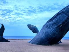 -烟台金沙滩海滨公园
