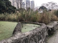 -成都市活水公园