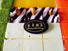 -维尔纳斯·生日蛋糕动物奶油冰淇淋蛋糕(人大店)