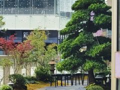 -深圳湾万象城(南山店)