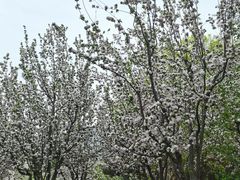 -元大都城垣遗址公园