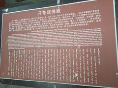 -五台山风景名胜区-罗睺寺