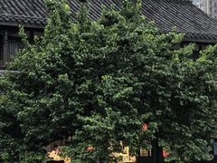 -铁像寺水街