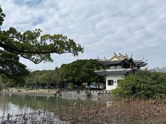 -江心屿景区
