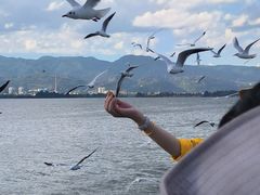 -海埂大坝