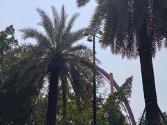 -麒麟中餐厅·经典粤菜·地道菜式老字号(广州长隆酒店)