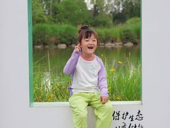 -池杉湖湿地公园
