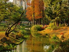 -人民公园(罗湖区)