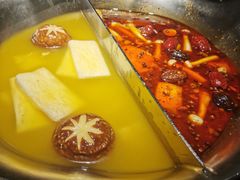台式麻辣花胶鸡鸳鸯锅-湊湊火锅·茶憩(世博大道店)