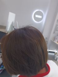 -YESIDO椰岛造型