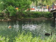 -长白岛森林公园