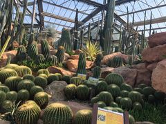 -华南国家植物园-售票处