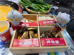 -生活如沸·顺德水牛奶火锅(大学路店)